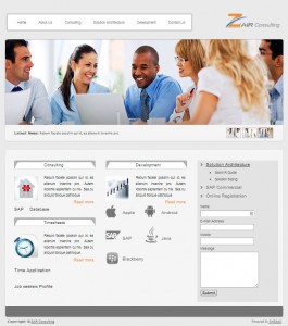 Zair-SAP-Consulting-Website